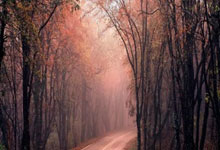 利物浦客场-击败阿斯顿维拉，稳坐积分榜首