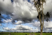 困境逆袭！欧洲杯预选赛冠军归属悬念重重