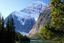 精彩比赛连连：球员们全力以赴拼搏进取